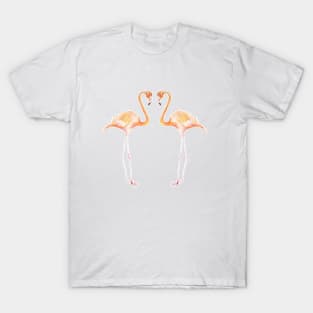 Flamingo Friends T-Shirt